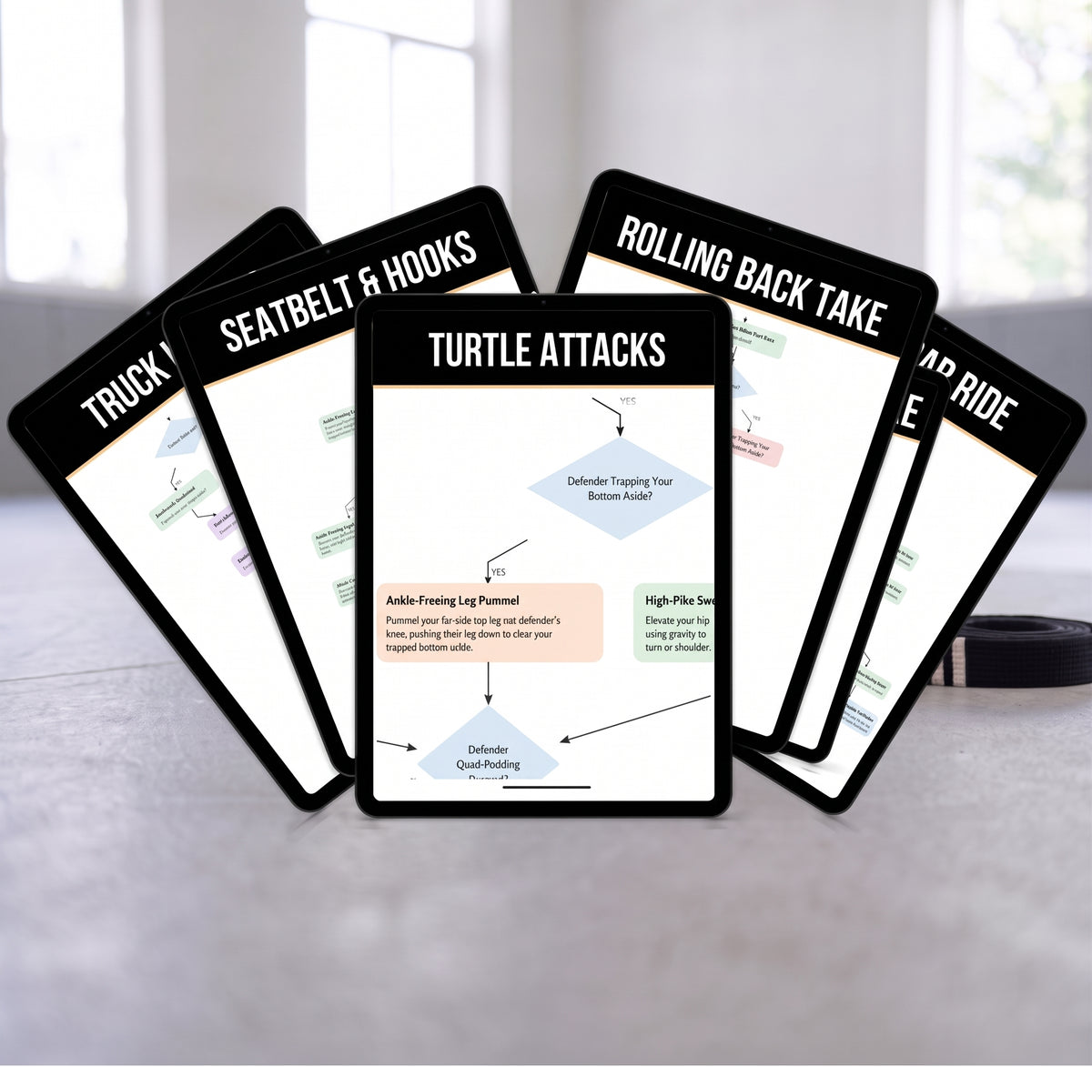 Turtle Attacks Bundle